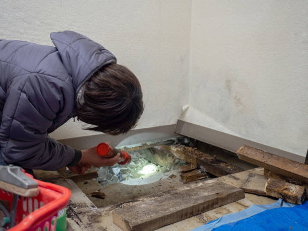 Best Post-Remediation Verification Testing  in Elmsford, NY