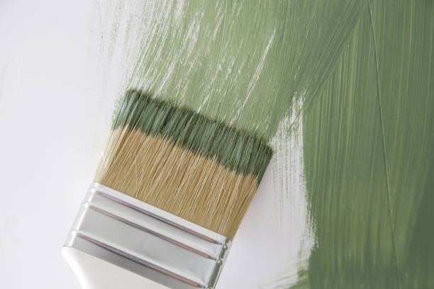 Best Mold Odor Removal Services  in Elmsford, NY