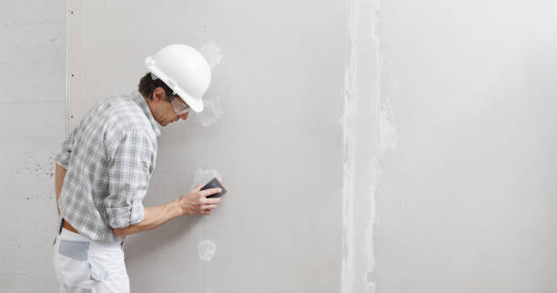 Best Mold Remediation for Rental Properties  in Elmsford, NY