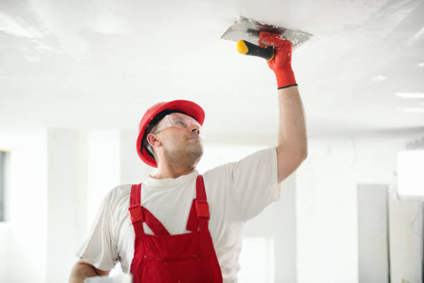 Best Residential Mold Inspection & Testing  in Elmsford, NY