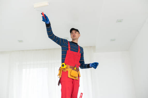 Best Basement Mold Removal  in Elmsford, NY
