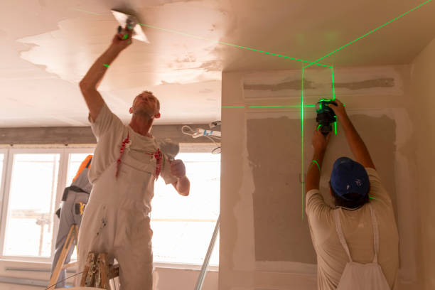 Best Emergency Mold Remediation  in Elmsford, NY