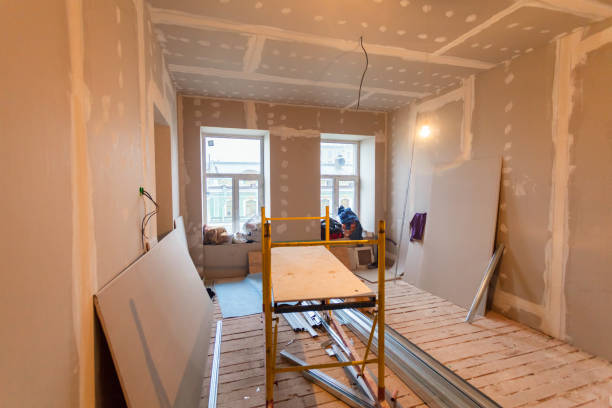 Best Black Mold Removal  in Elmsford, NY